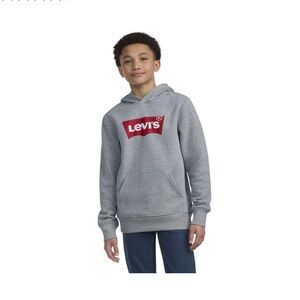 Levi's Kids Gray and Red Logo Hoodie